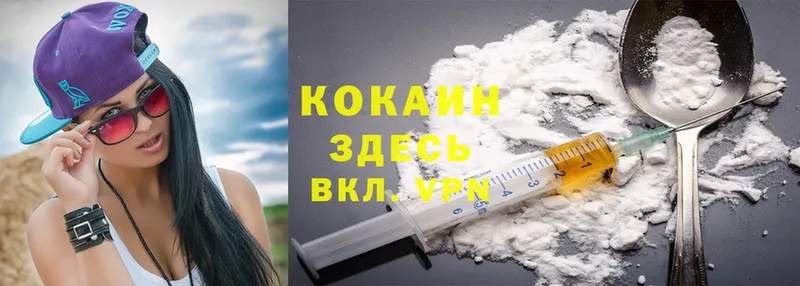 Cocaine Боливия  Дигора 