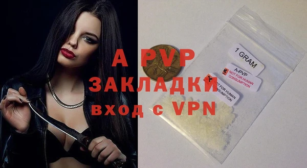 ПСИЛОЦИБИНОВЫЕ ГРИБЫ Беломорск