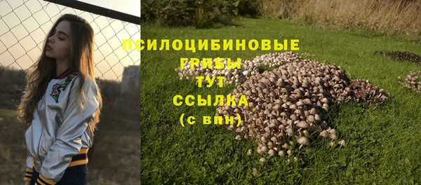 MDMA Белоозёрский