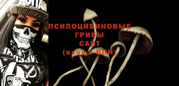 ПСИЛОЦИБИНОВЫЕ ГРИБЫ Беломорск