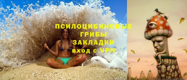 ПСИЛОЦИБИНОВЫЕ ГРИБЫ Беломорск