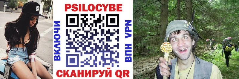 Псилоцибиновые грибы Psilocybine cubensis  Дигора 